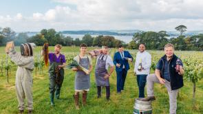 5 fun things to do this weekend in Exeter 