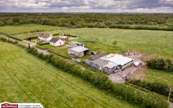 Online auction to be held for four lots of scenic Offaly land perfect for equestrian farm